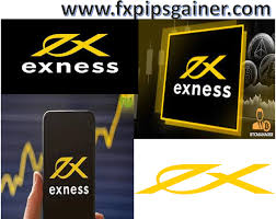 A Complete Guide to Exness Global Broker