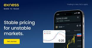 Understanding Competitive Exness Fees for Optimal Trading
